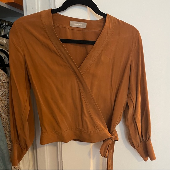 Everlane Washable Silk Wrap Top in Cider - Picture 7 of 8